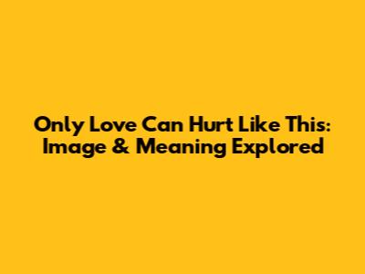 "Only Love Can Hurt Like This": Image & Meaning Explored