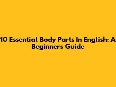 10 Essential Body Parts In English: A Beginner's Guide