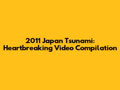 2011 Japan Tsunami: Heartbreaking Video Compilation