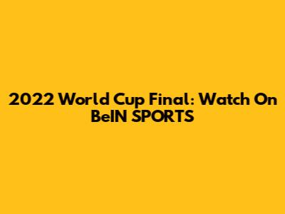 2022 World Cup Final: Watch On BeIN SPORTS