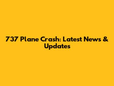 737 Plane Crash: Latest News & Updates