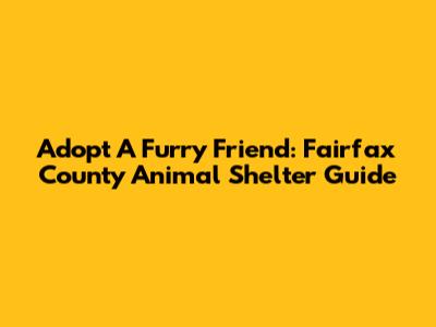 Adopt A Furry Friend: Fairfax County Animal Shelter Guide