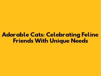 Adorable Cats: Celebrating Feline Friends With Unique Needs