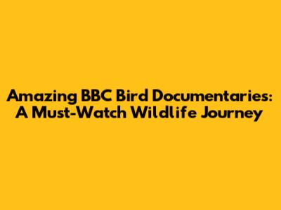 Amazing BBC Bird Documentaries: A Must-Watch Wildlife Journey