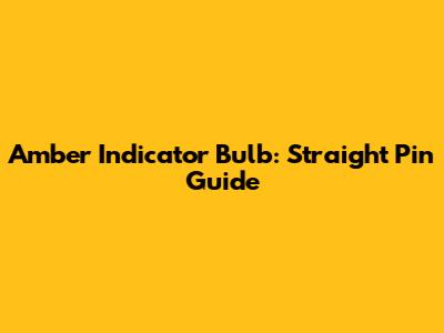 Amber Indicator Bulb: Straight Pin Guide
