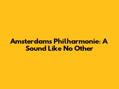 Amsterdam's Philharmonie: A Sound Like No Other