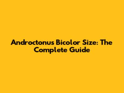 Androctonus Bicolor Size: The Complete Guide
