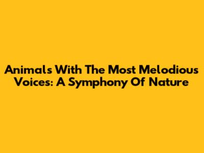 Animals With The Most Melodious Voices: A Symphony Of Nature