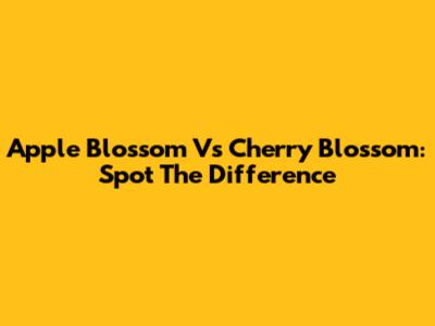 Apple Blossom Vs Cherry Blossom: Spot The Difference