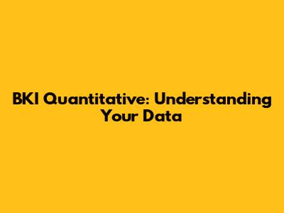BKI Quantitative: Understanding Your Data