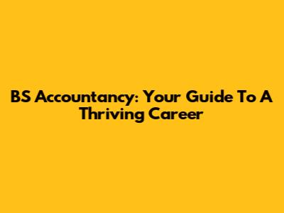 BS Accountancy: Your Guide To A Thriving Career