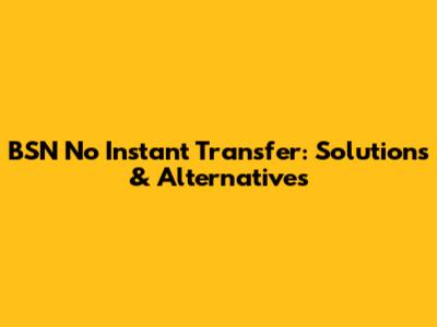 BSN No Instant Transfer: Solutions & Alternatives