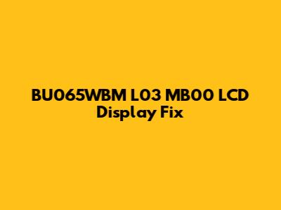 BU065WBM L03 MB00 LCD Display Fix