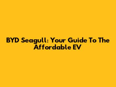 BYD Seagull: Your Guide To The Affordable EV