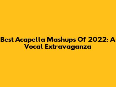 Best Acapella Mashups Of 2022: A Vocal Extravaganza