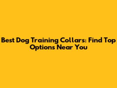 Best Dog Training Collars: Find Top Options Near You