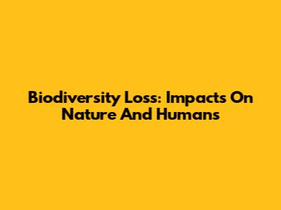 Biodiversity Loss: Impacts On Nature And Humans