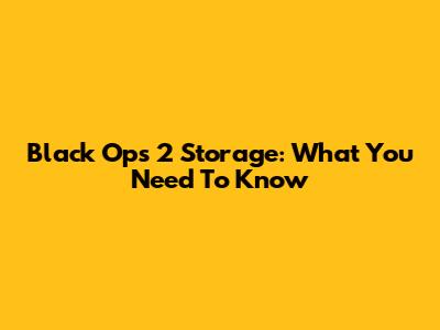 Black Ops 2 Storage: What You Need To Know