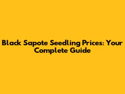 Black Sapote Seedling Prices: Your Complete Guide
