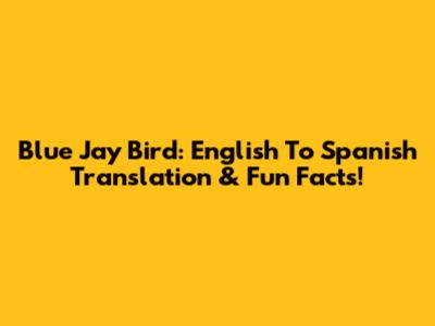 Blue Jay Bird: English To Spanish Translation & Fun Facts!