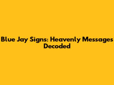 Blue Jay Signs: Heavenly Messages Decoded