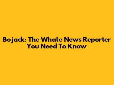 Bojack: The Whale News Reporter You Need To Know