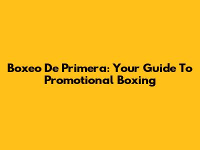 Boxeo De Primera: Your Guide To Promotional Boxing