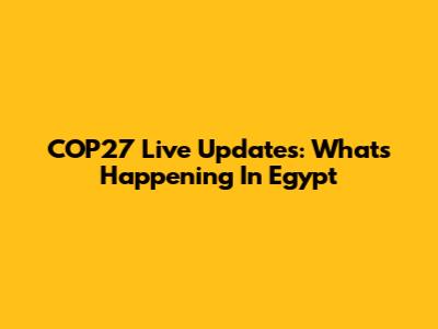 COP27 Live Updates: What's Happening In Egypt