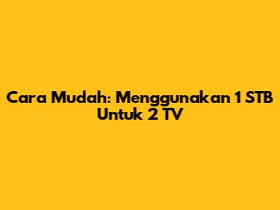 Cara Mudah: Menggunakan 1 STB Untuk 2 TV
