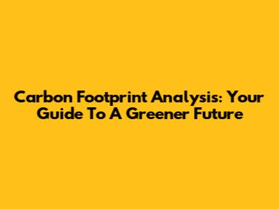 Carbon Footprint Analysis: Your Guide To A Greener Future