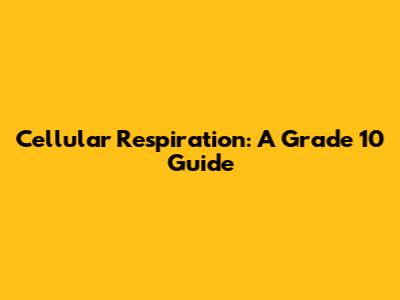 Cellular Respiration: A Grade 10 Guide