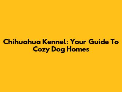 Chihuahua Kennel: Your Guide To Cozy Dog Homes