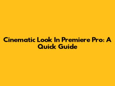 Cinematic Look In Premiere Pro: A Quick Guide