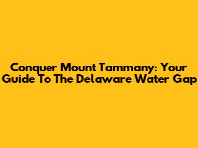 Conquer Mount Tammany: Your Guide To The Delaware Water Gap