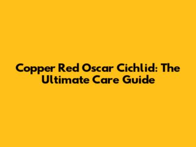 Copper Red Oscar Cichlid: The Ultimate Care Guide
