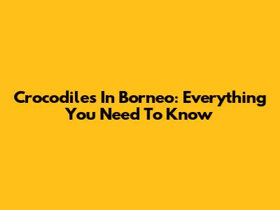 Crocodiles In Borneo: Everything You Need To Know