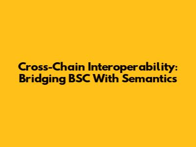 Cross-Chain Interoperability: Bridging BSC With Semantics