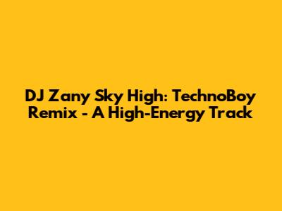 DJ Zany Sky High: TechnoBoy Remix - A High-Energy Track