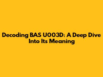 Decoding BAS U003D: A Deep Dive Into Its Meaning