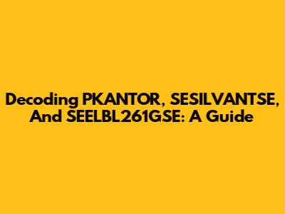 Decoding PKANTOR, SESILVANTSE, And SEELBL261GSE: A Guide