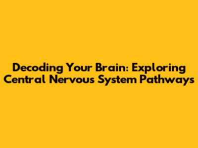 Decoding Your Brain: Exploring Central Nervous System Pathways