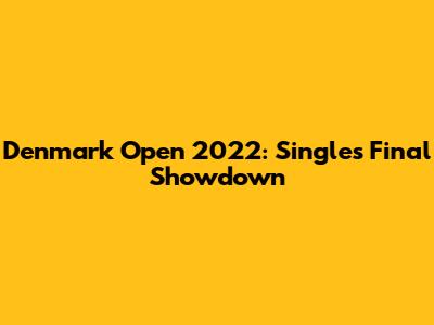 Denmark Open 2022: Singles Final Showdown