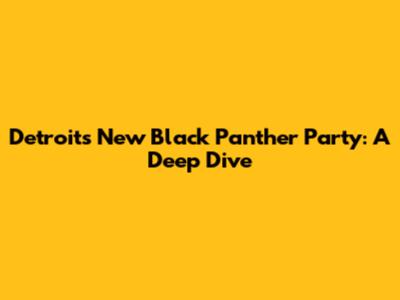 Detroit's New Black Panther Party: A Deep Dive