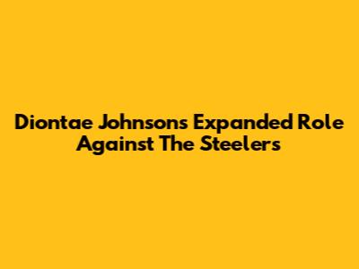 Diontae Johnson's Expanded Role Against The Steelers