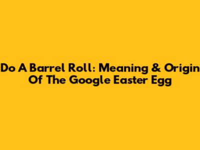 Do A Barrel Roll: Meaning & Origin Of The Google Easter Egg