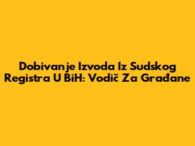 Dobivanje Izvoda Iz Sudskog Registra U BiH: Vodič Za Građane