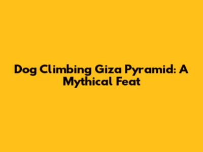 Dog Climbing Giza Pyramid: A Mythical Feat