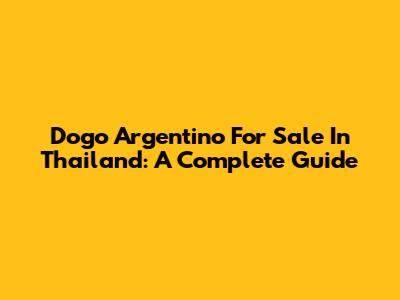 Dogo Argentino For Sale In Thailand: A Complete Guide