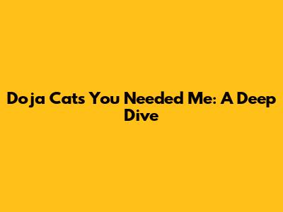 Doja Cat's "You Needed Me": A Deep Dive