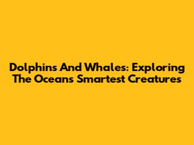 Dolphins And Whales: Exploring The Ocean's Smartest Creatures